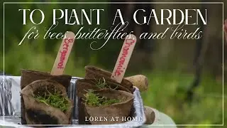 A Wholesome Weekend in the Garden | making a bird and pollinator haven