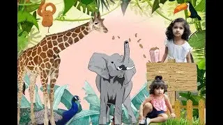 Kids Fun Day At Zoo