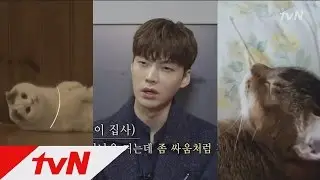 The Lovebirds: Year 1 집사 재현이 소개하는 안구네 고양이 서열! #제보영상 170310 EP.6