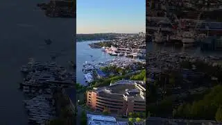 Seattle&rsquo;s Lake Union: Vibrant City Life