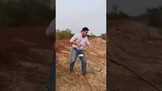 &iexcl;Laz&oacute; hasta un cocodrilo! &iquest;Y ahora c&oacute;mo se lo quitan  🐊😅