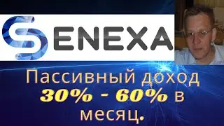 #SENEXA.  Делаю реинвест