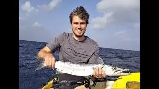 Bucket list: barracuda with light tackle: sportfishing on Curacao with Deckie Dirk  CuracaoFishing