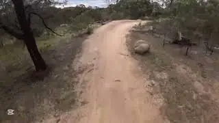 Cressys Decent - you yangs Mtb park