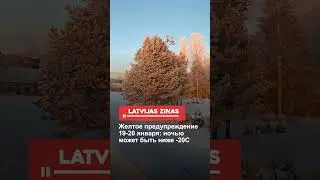 Желтое предупреждение 19-20 января: ночью может быть ниже -20С