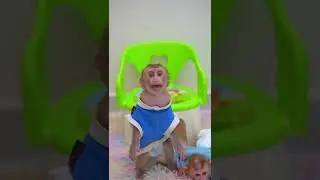 Baby monkey can't wait milk