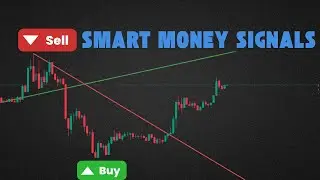 Most Accurate Buy Sell Indicator TradingView | Real Profitable Signals