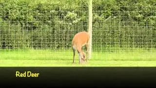 Axe Valley Wildlife Park (15th June 2014)