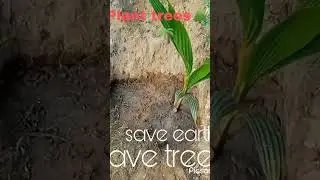#save earth #plant trees #new earth our future