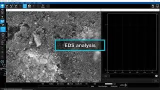 JSM-IT800 Ultrahigh Resolution Field Emission SEM