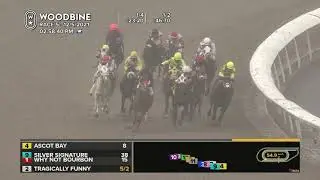 Woodbine, Tbred, December 5, 2021 Race 5