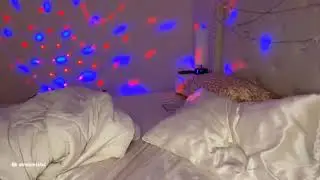 pink_sparkles stream clip