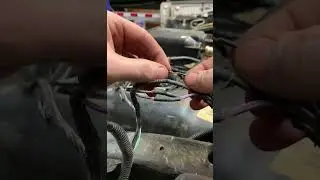 Wiring DONE RIGHT #shorts #shortsvideo #wiring #electrician #electrical #doitright