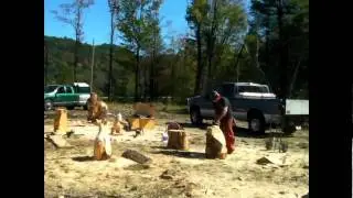 Chainsaw artist,buzz saws music by zz top recorded in vermont