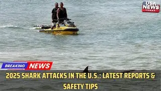 Shark Attacks in the U.S. 2025: Latest Incidents & Safety Tips । USA NEWS TODAY