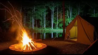 Cozy Campfire by the Forest Pond | Relaxing Night Ambience Live