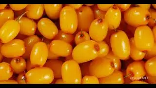 HD REVITABLU PRODUCT LAUNCH | Healthy4UrLife