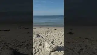 @Thalsewana beach
