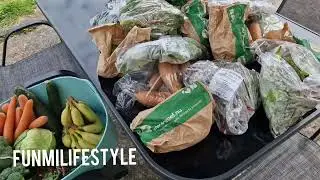 Organic Fruits and Vegetables | My Weekly Shopping