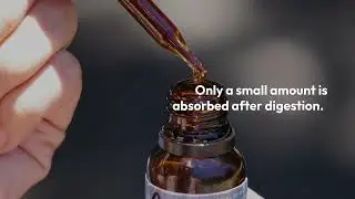 Oral CBD vs Topical CBD: Which Is Right for You?