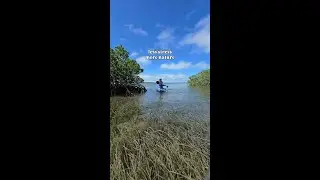 Adventure awaits in the untamed beauty of the Florida Keys! 🏝️🌊