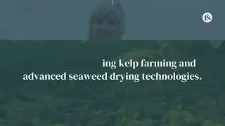 How seaweed is helping salmon keep Cordova's economy buoyant - The short of it