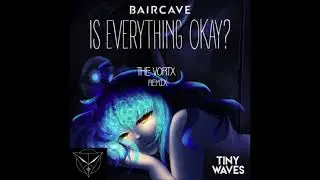 Baircave & Tiny Waves - Is Everything Okay? (TheVortx Remix)