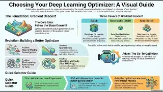 Optimization Algorithms in Deep Learning | Machine Learning | Artificial Intelligence | IgnoVex