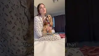 Она хочет еще одну собаку!