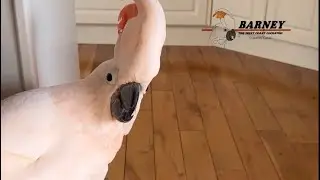 Let&rsquo;s play with this funny looking duck foot! Wheee! 😂