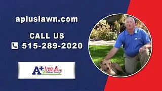 A+ Lawn & Landscape