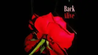 Back Alive (Official Audio) - AVL Music 🎵