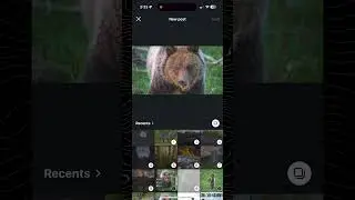 How to Do Mixed Ratio Instagram Carousels