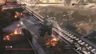 Sekiro&trade;  Isshin Ashina no hit