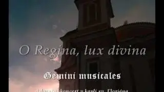 Codex Franus: O Regina, lux divina - Gemini musicales