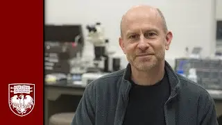 Andrew Campbell on collaboration with students