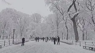 First Snow of the year (12/14/25) Mymixvid 