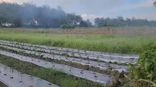 This Smart Farmer&rsquo;s Irrigation Tools Will Change How You Farm Forever!   - Agriculture Farming