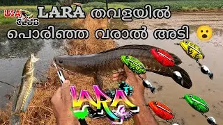 This macachi is great.. the result is great. USA Club Lara🐸.. Best frog lure for snakehead fishing