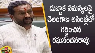 BJP MLA Raghunandan Rao Speaks About Dubbaka Problems in Assembly | TS Assembly 2021 | Mango News