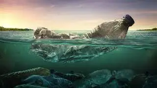 The impact of Single Use Plastic.