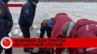 Смерть рыбаков; пенсионерка кормила уток - умерла; хотел продать шубу, но получил уголовку
