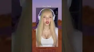 Майнкрафт мем