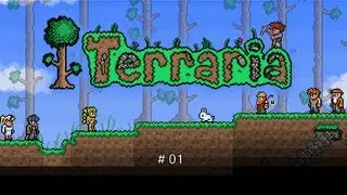 Terraria | Aventure suivie ou presque de T50M4S et bluerabbitz | Episode 1 part. 2