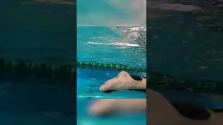 Swimming Pullbuoy SWIM-WINGS