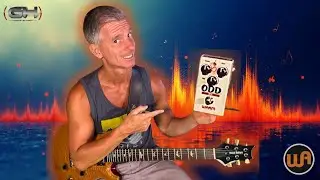 A truly spectacular overdrive - Warm Audio ODD