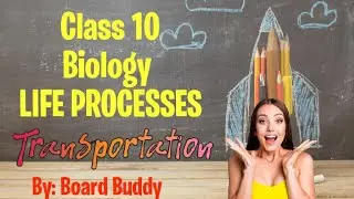 Class 10 TRANSPORTATION covered under 10 mins| PPT for life processes| Part 1 | Biology