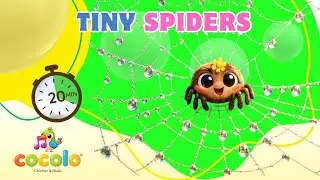 Tiny Spider Swings High! 🕷️ | Playful Kids Music | Cocol&oacute; Nursery Rhymes