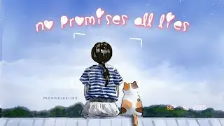 🌻No promises all lies - 七元 (Thất Nguyên) | Lyrics + Vietsub