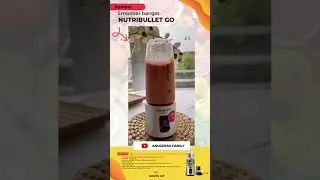 Blender Nutribullet Go